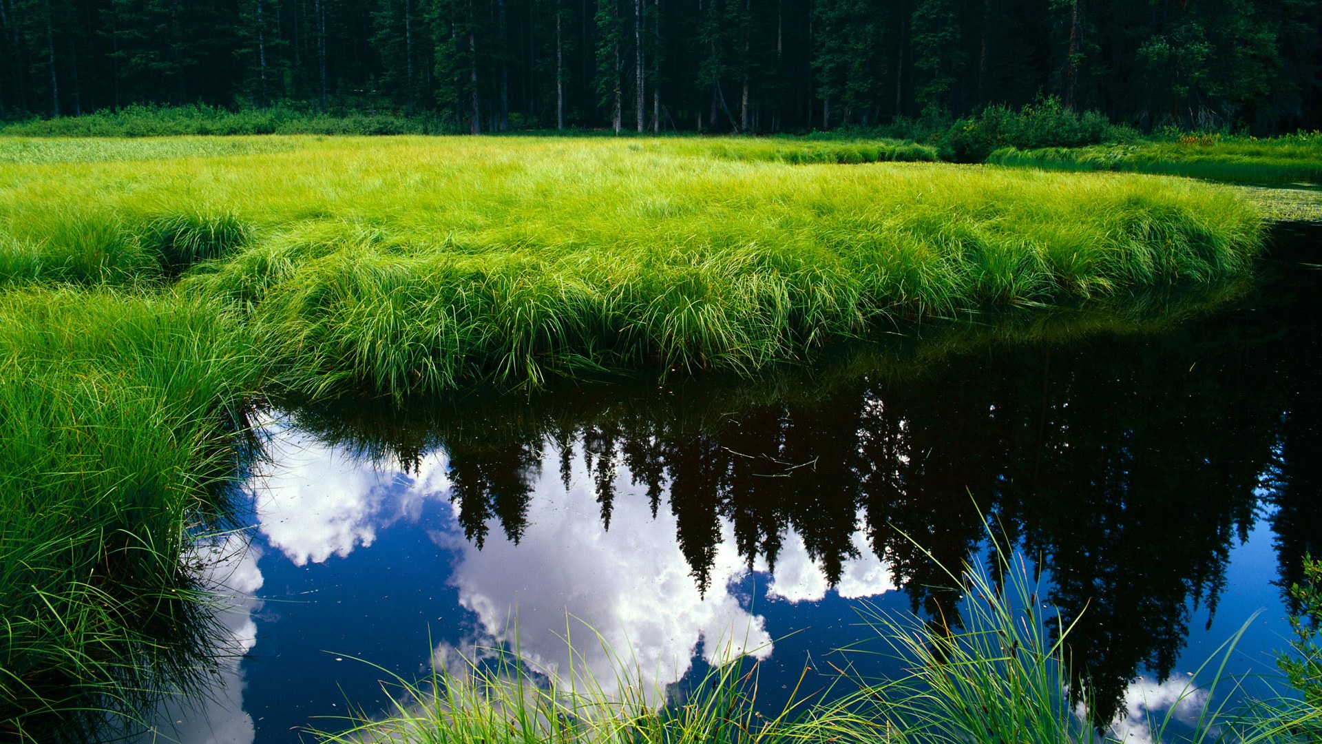 “史诗一战!两队鏖战五局,战术与技巧的巅峰对决”