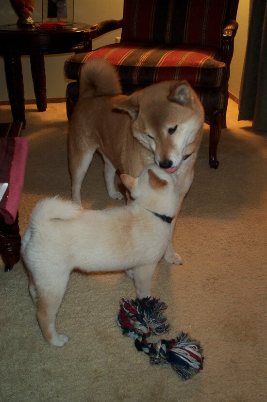 米兰体育官方网址入口-“史诗专辑：联盟历史上的十大经典逆转”，联盟历代阵营领袖