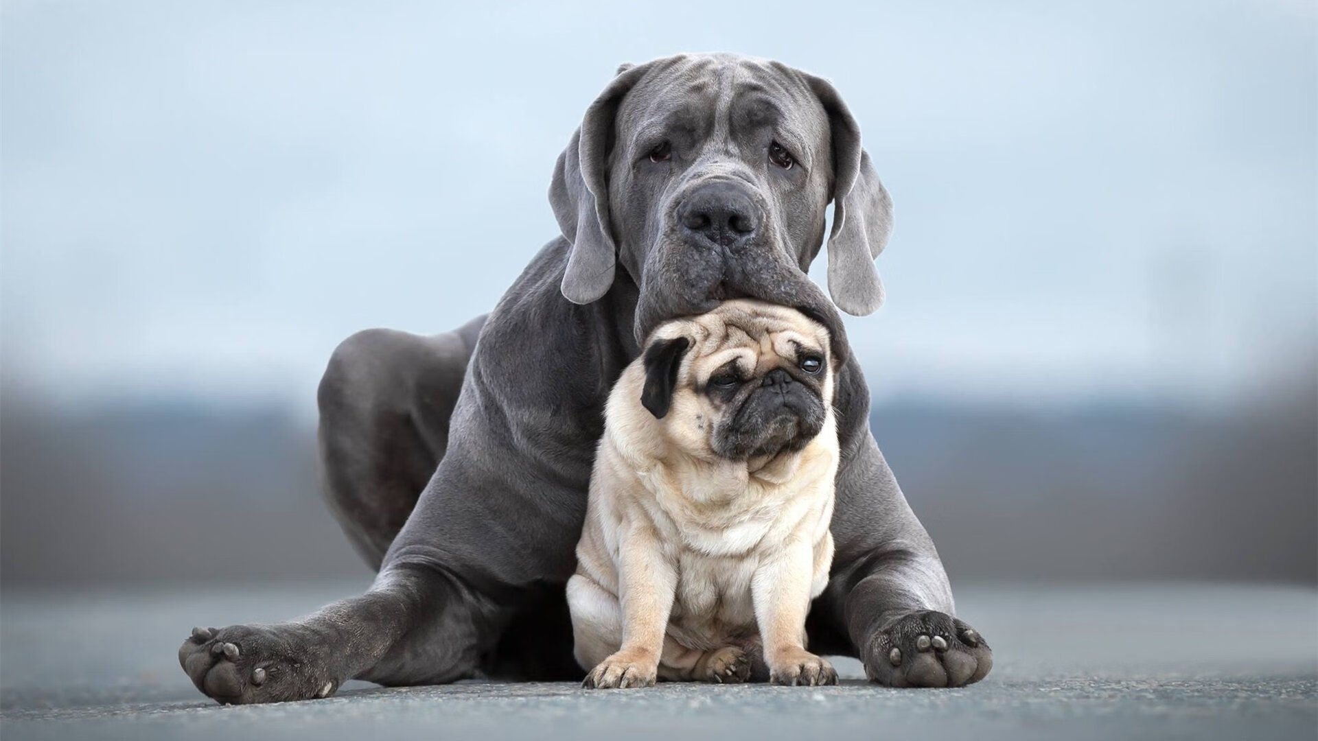 米兰体育登录入口官网-“史诗对决：东部决赛焦点战，球迷热议不断”，东部决赛队伍