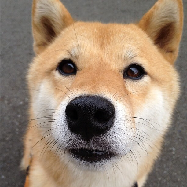 传统台球运动的新玩法与创新突破,台球体育运动