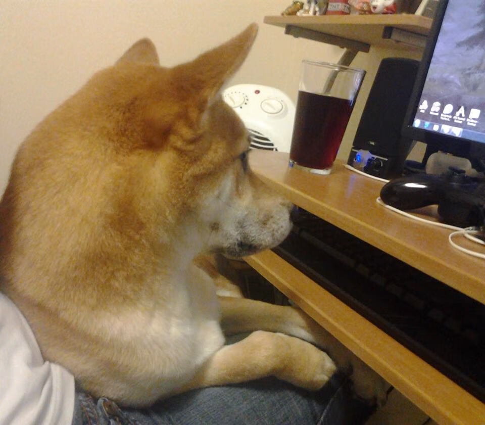 德国女子78公斤级柔道选手在比赛中获得第十一名,德国柔道选手硬核热身