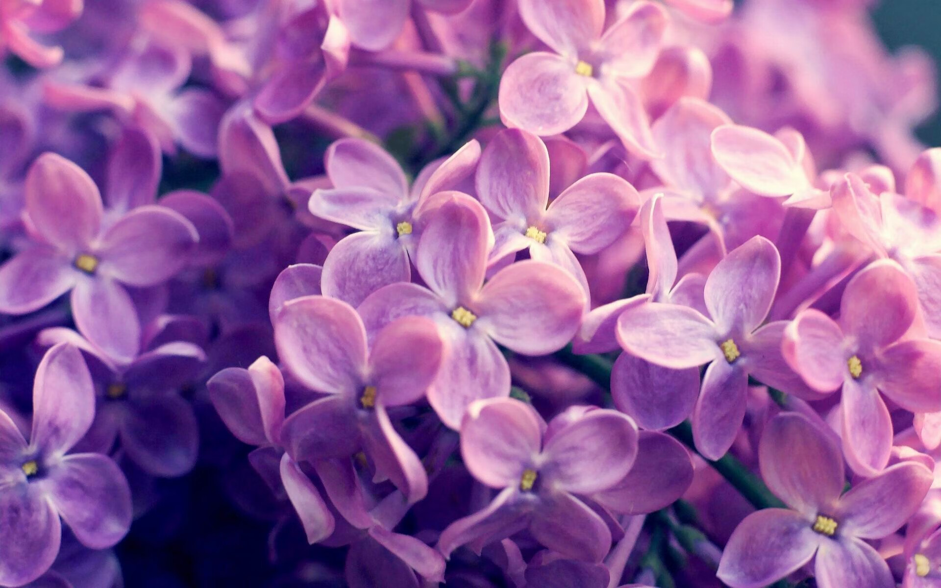 新能源足球场正式投入使用,绿色环保理念彰显,新型足球场