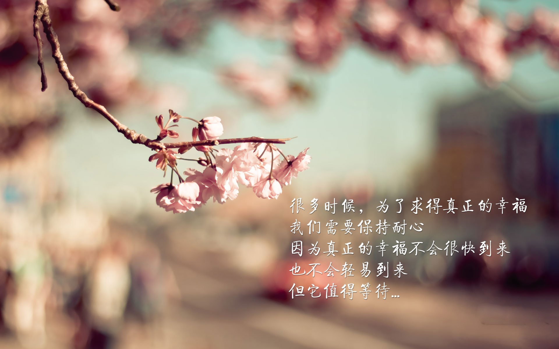 赛后采访:球员不同角度的赛场心声,赛后采访回答