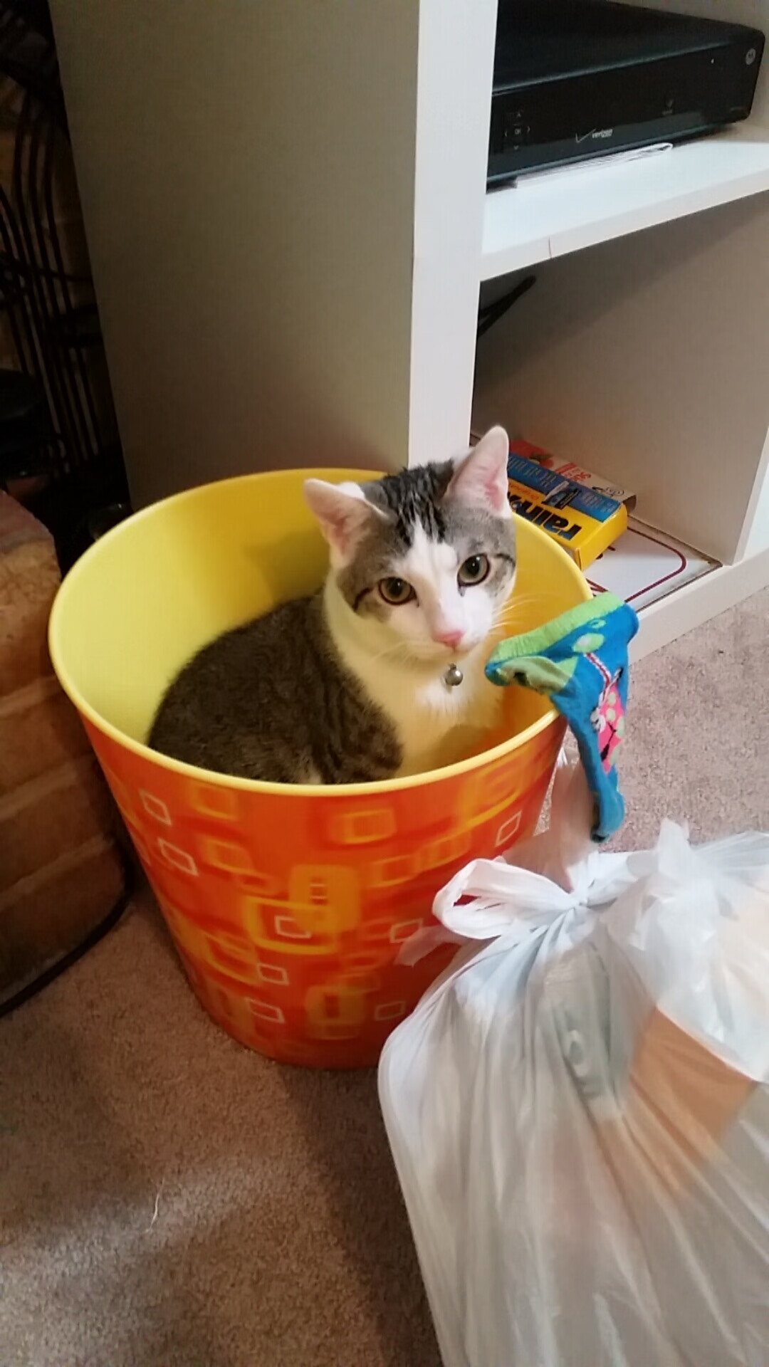 佛罗伦萨险胜卡利亚里,主场球迷欢呼,弗罗伦萨对卡利亚里