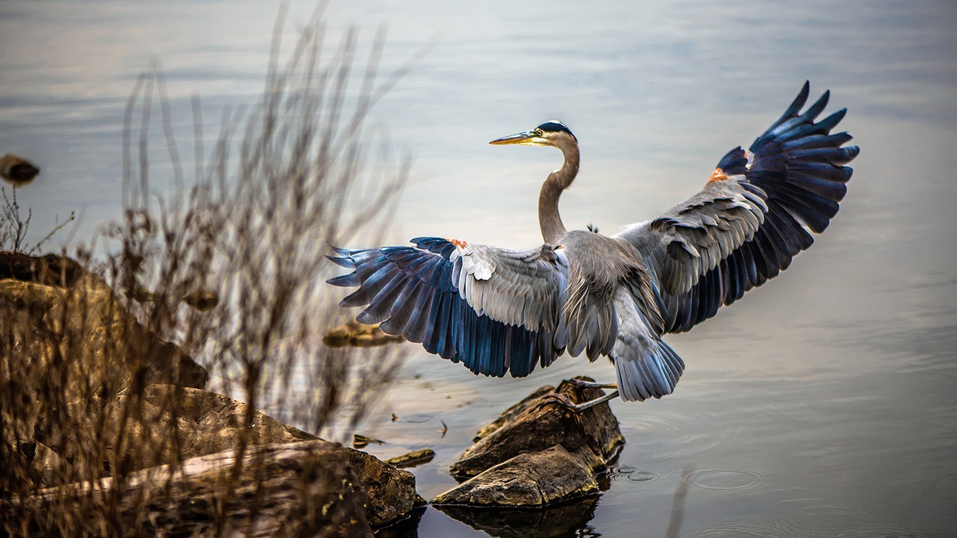 米兰体育·「中国」官方网站-塞维利亚客场险胜，艰难战胜强敌取得胜利，塞维利亚队