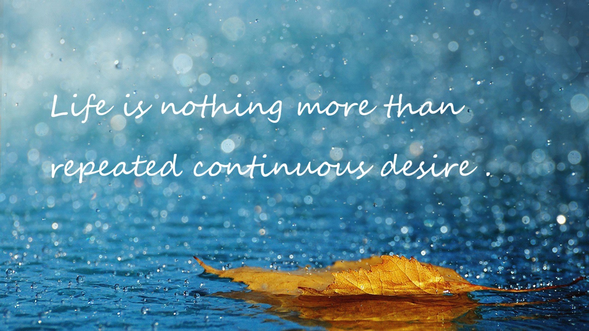 米兰官网-塞维利亚意外失分，冠军争夺前景不容乐观，塞维利亚国家队最新名单