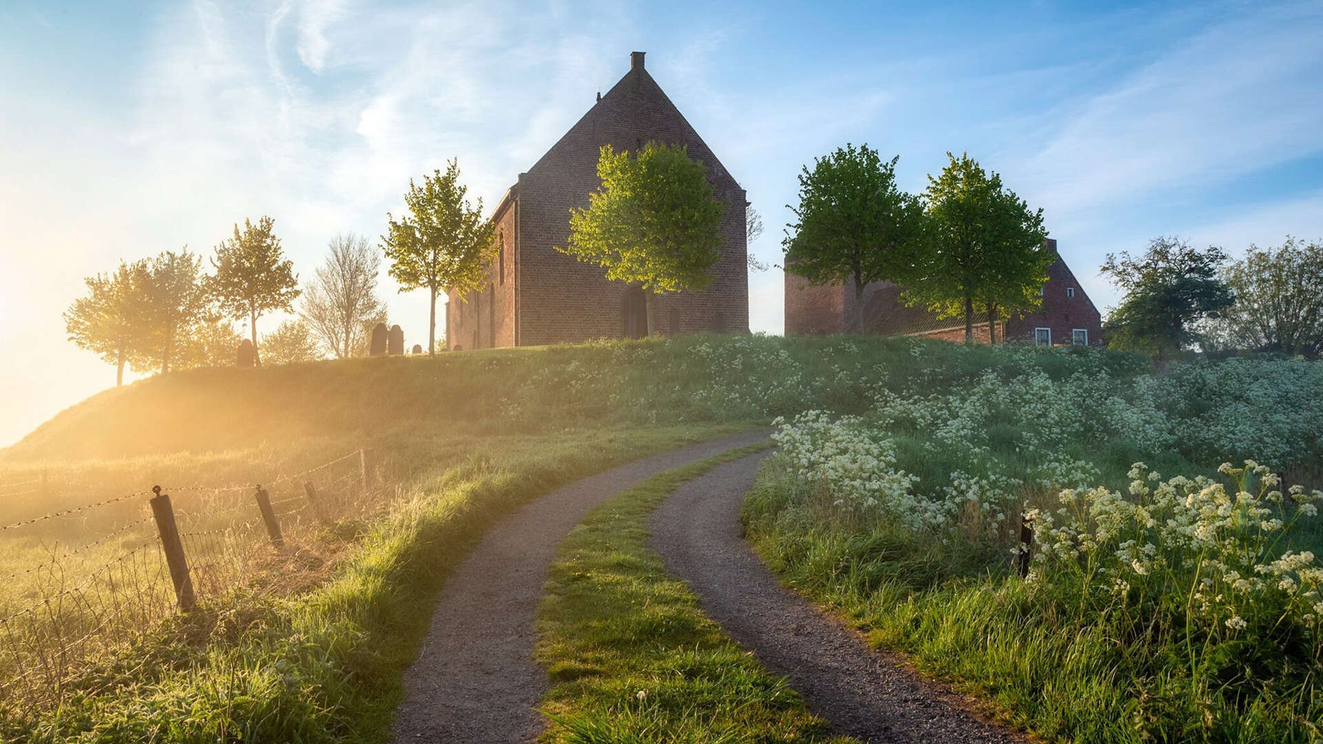 富勒姆传控流畅,白百合盼主场连胜,富勒姆外号叫什么