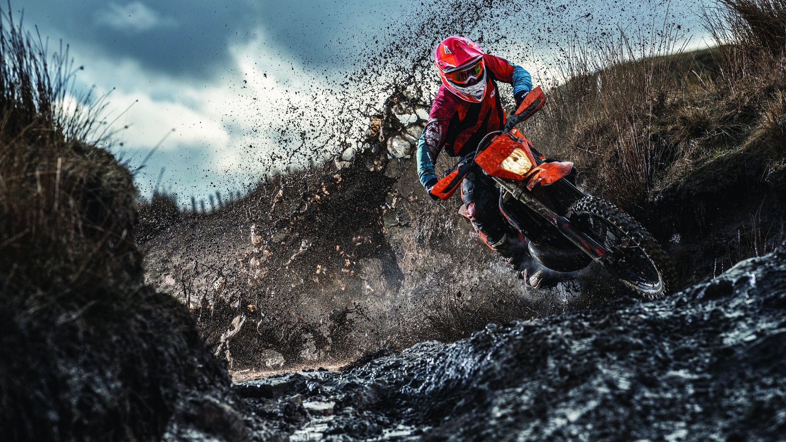 日本新星点燃希望之火!,2020日本新星