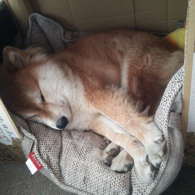 中小学体育课堂互动教学效果分析与优化研究,中小学体育优质课教案