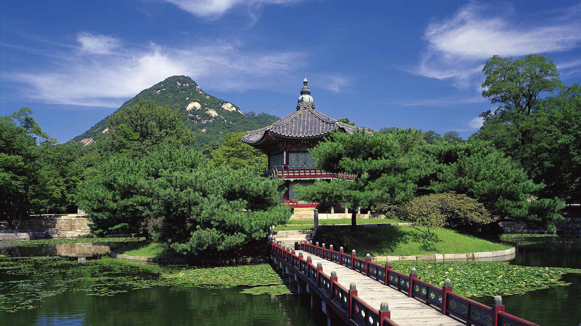 AC MILANSPORTS-体育场馆安全管理标准建设，体育场馆设施运营管理方案