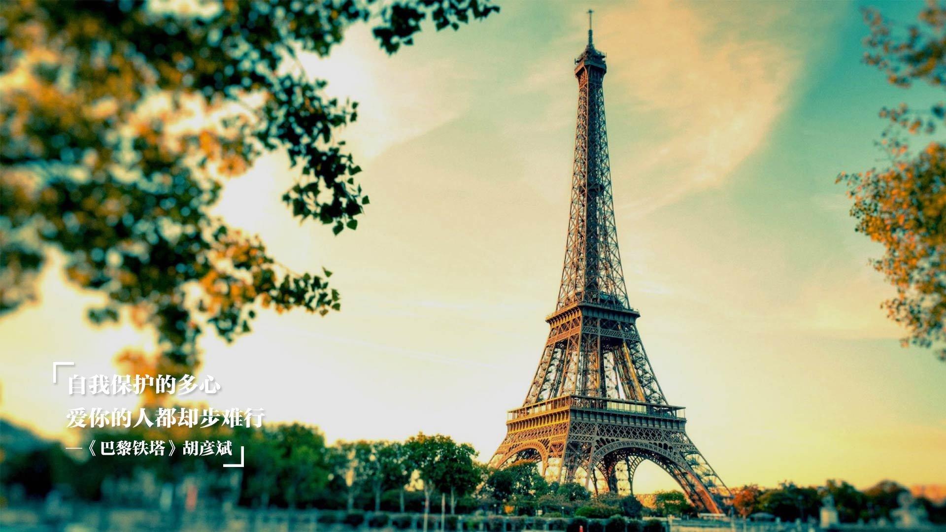 国际乒联混合团体世界杯:新加坡队如何通过团队协作迎战强敌,乒乓 新加坡