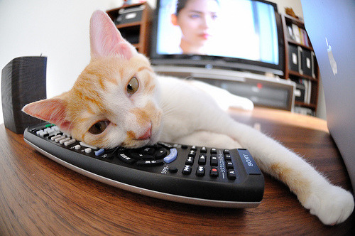 威少连砍三双奇才再度问鼎榜首，威少出场比赛奇才1胜8负 新闻