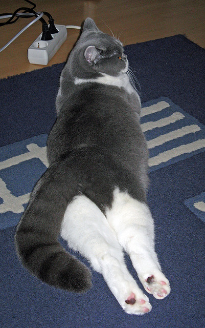 西甲秀场:技巧、配合、出现精彩连连!,西甲loading